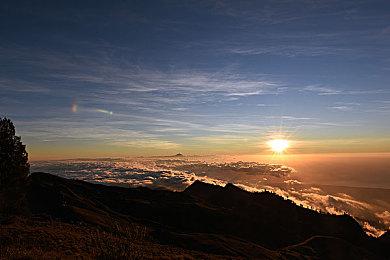 《陶艺大师》移动版12月8日发售 买断制售价12元